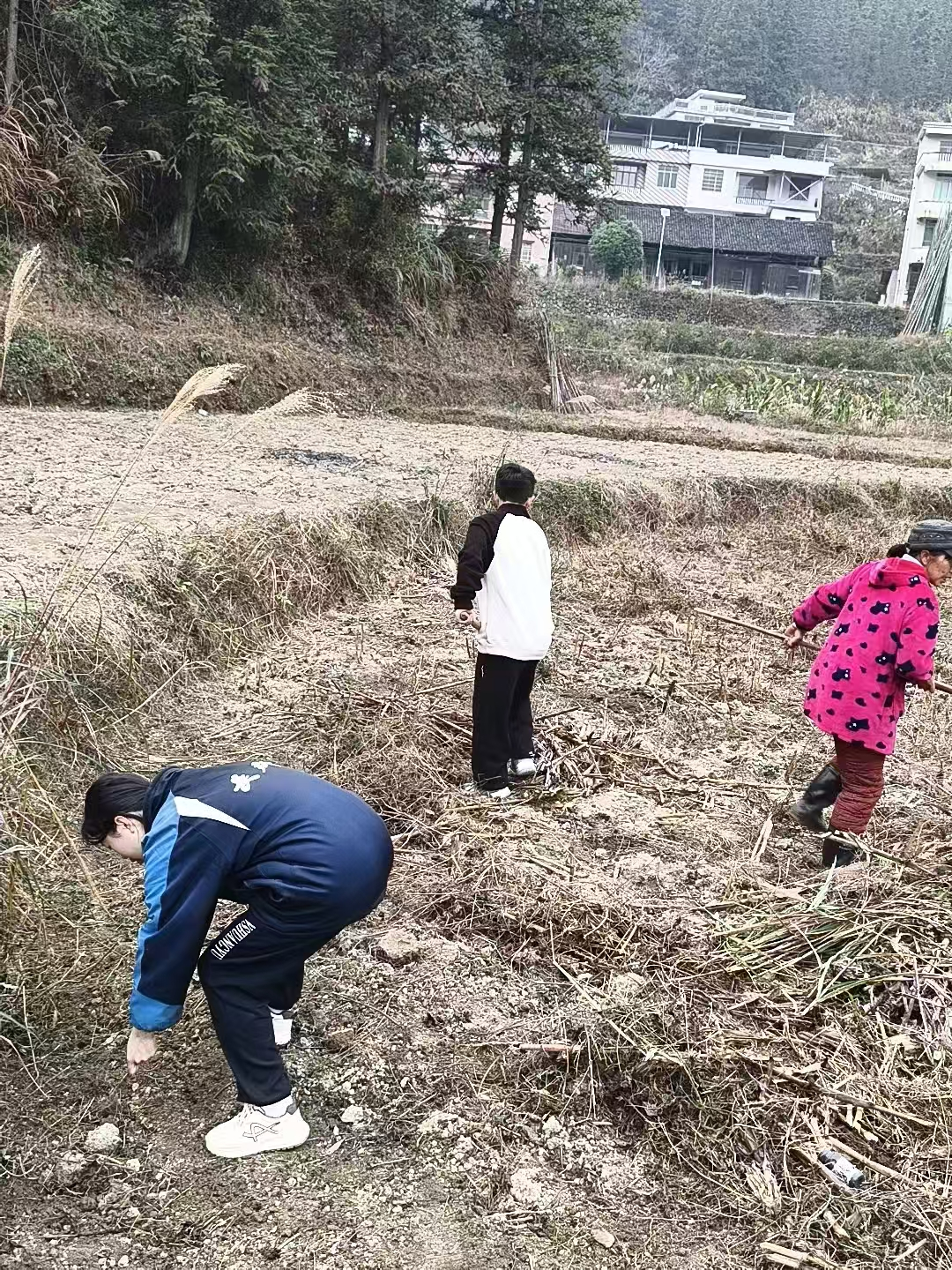10天短期体验营